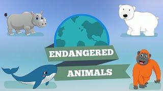 Endangered Animals - Science for Kids | @PrimaryWorld