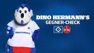 Dino Hermann's Gegner-Check | 1. FC Nürnberg | #HSVFCN