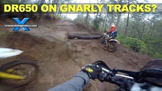 Suzuki DR650 on gnarly enduro tracks? ︱Cross Training Adventure