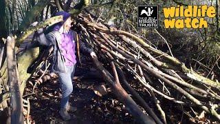 Wildlife Wednesday: How to build a den!