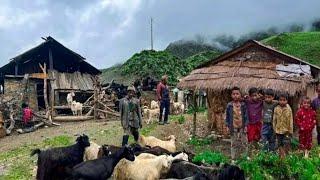 Discovering the Secrets of Living in Balance with Nature in Nepal: Nepali Mountain life| Daily  life