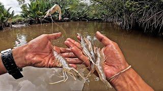 Umpan Udang Hidupnya Besar2