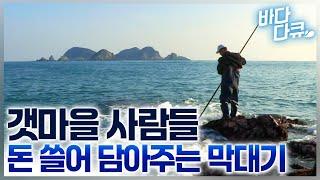 바닷물에 잠긴 바위를 쉴 새 없이 패더니, 밥그릇이라 소개하는 갯마을 주민들/바닷속에서 농사 짓는 해산물의 정체/#바다다큐