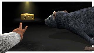 This Game Turned Us Into Rats