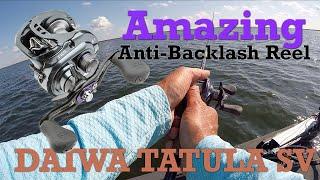 Amazing Anti-Backlash Baitcasting Reel (Tatula SV-TW)!