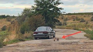 Desperate Dogs Chase Owner's Car After Being Left in the Middle of the Road