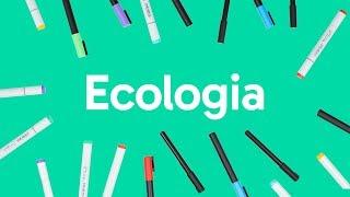 ECOLOGIA: CADEIA ALIMENTAR, BIOMAS E RELAÇÕES ECOLÓGICAS | QUER QUE DESENHE?