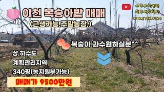 이천시 장호원 복숭아밭 340평매매 9500만원입니다~계획관리지역 상하수도 가능해요