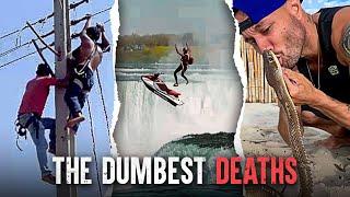 The Dumbest Ways People Didn't Survive