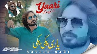 Yaari Paki Paki | Naveed Mahi | Official Song 2024