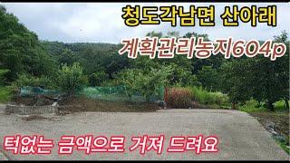 청도 산아래 전망좋은 계획관리 농지 거져 드려요 주말농장 귀촌 나무식재 추천 NO. 40703