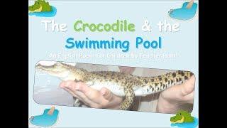 The Crocodile And The Swimming Pool by Teacher Ham!