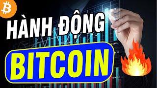 Phân Tích Bitcoin Hôm Nay : HÀNH ĐỘNG DỤ GIÁ CỦA BITCOIN !