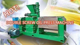 double screw oil press machine/hot &cold oil expeller