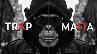 Mafia Music 2024 ️ Best Gangster Rap Mix - Hip Hop & Trap Music 2024