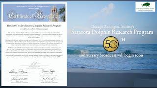 Sarasota Dolphin Research Program 50th Anniversary Celebration