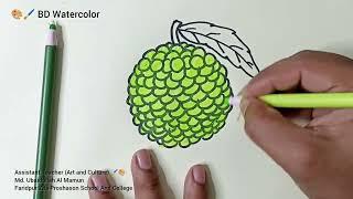 Custard Apple Drawing