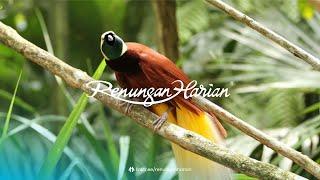 ANAK YANG DEWASA | Renungan Harian® (Audio)