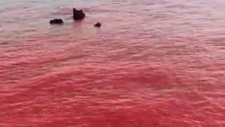 HORMOZ RED BEACH, SOUTH OF IRAN