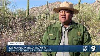 Mending nature and relationships: Saguaro National Park extends olive branch to tribal communities