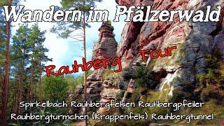 Unter der mächtigen Felswand vorbei | Spirkelbacher Rauhberg - Tour | Pfalz | DE