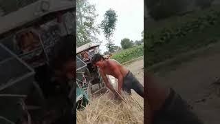 M shahid tanveer wasli 62,5l sahiwal