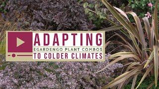 Adapting eGardenGo Plant Combinations to Colder Climates