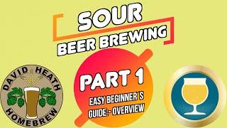 Sour Beer Brewing Beginners Guide  Part 1 Overview