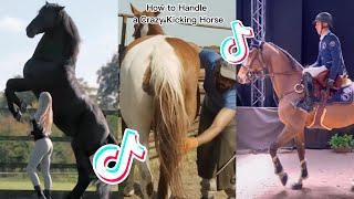 The Best HORSE TikTok Compilation #75