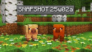  NEW SNAPSHOT ANNOUNCEMENT TODAY!!!!!