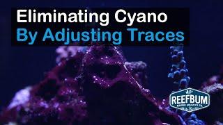 Eliminating Cyano By Adjusting Trace Elements