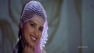 Dil Pardesi Ho Gayaa { Dil Pardesi Ho Gayaa 2003 } Bollywood Song I Sonu Nigam I