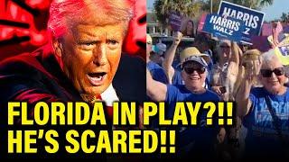 Trump Plans EMERGENCY STOP in FLORIDA as Panic GROWS