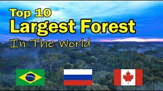 Top 10 Largest Forests In The World!