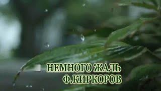 Ф.Киркоров-Немного жаль-караоке(для низкого голоса)