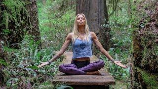 Beautiful Beginner Yoga   Hatha Class For Everyone  | Tofino
