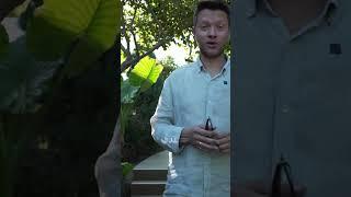 Аренда Недвижимости на Кипре