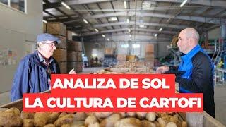 Cum a schimbat fermierul Sorin Mănoiu fertilizarea la cartofi cu ajutorul Holland Farming