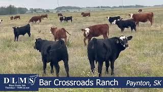 DLMS Direct - Bar Crossroads Ranch