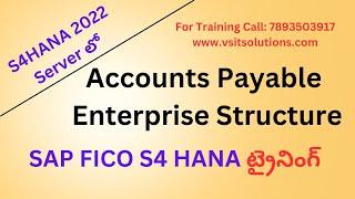 SAP FICO HANA Training | Accounts Payable | #sapfico #saps4hana #sapficointelugu | Veera