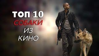 ТОП-10 | СОБАКИ ИЗ КИНО