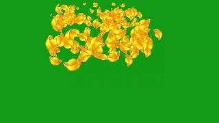 Yellow flowers falling on ground | Green Screen Library