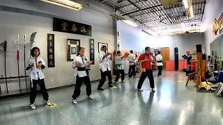 Wing Chun Dan Chi Sao , Chi Sao BASIC training