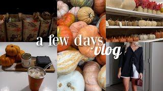 FALL VLOG:Trader Joes haul, opening up about some things, work day + current fav high protein meal