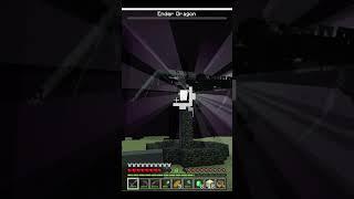 i beat the enderdragon but at what cost