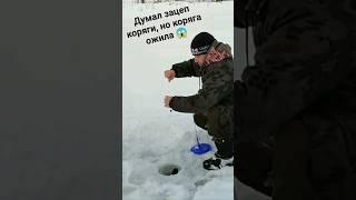 Трофейная щука. Живая коряга на рыбалке #fishing #shorts