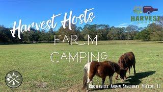 Harvest Hosts Farm Camping | Rooterville Animal Sanctuary Melrose, FL