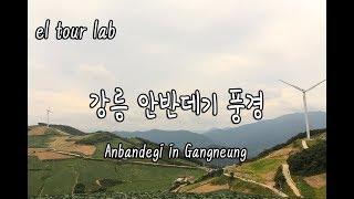 강릉여행 안반데기 풍경! 해발1100미터의 작은 마을, 고랭지밭, 대관령 (Anbandegi in Gangneung) - by 여행이