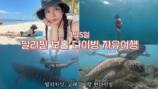 ENG) Diving Trip in Cebu 여자 둘이서 필리핀 보홀 프리다이빙 자유여행 3박5일 호핑투어 발리카삭 거북이 고래상어 펀다이빙️