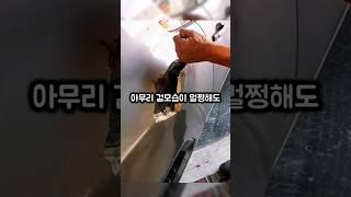 프로처럼 '중고차' 고르는 법! 숨겨진 사고이력 한번에 찾아주는 마법의 도구
